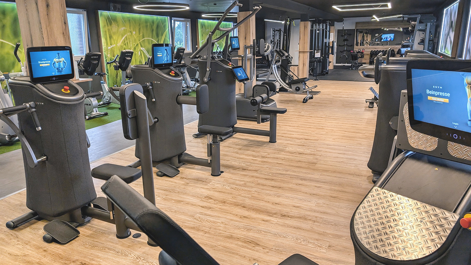 Egym Fläche oben